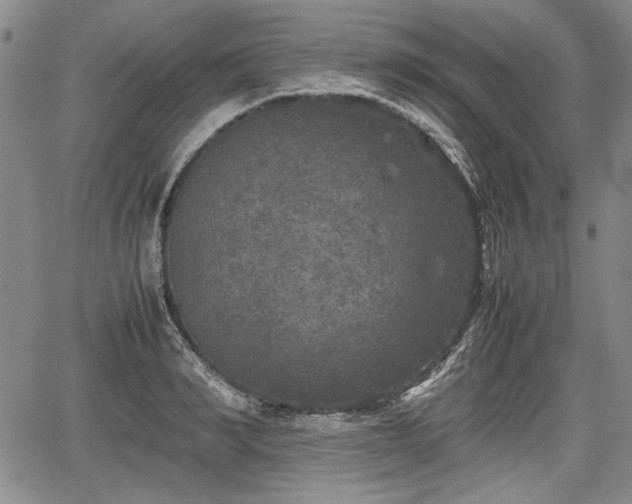 X0000067500990200604101226