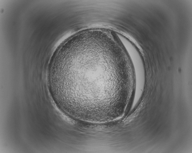 X0000067500991200604101226