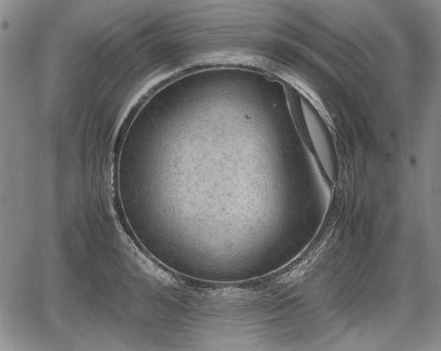 X0000067500992200604101226