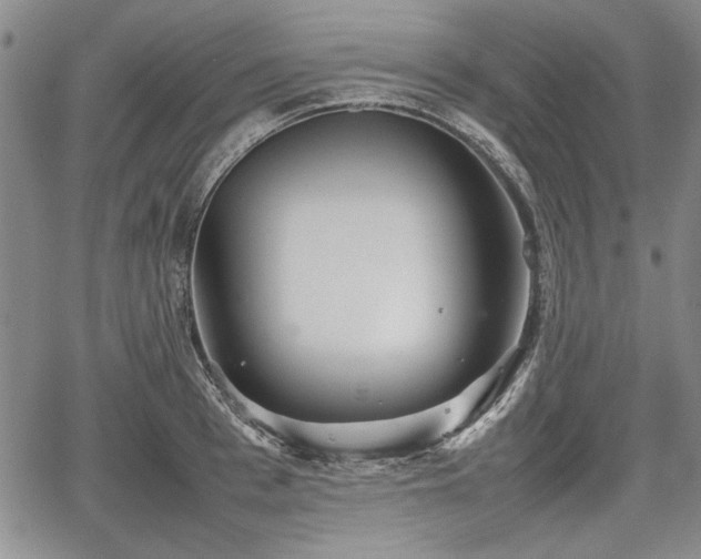 X0000067500993200604101226