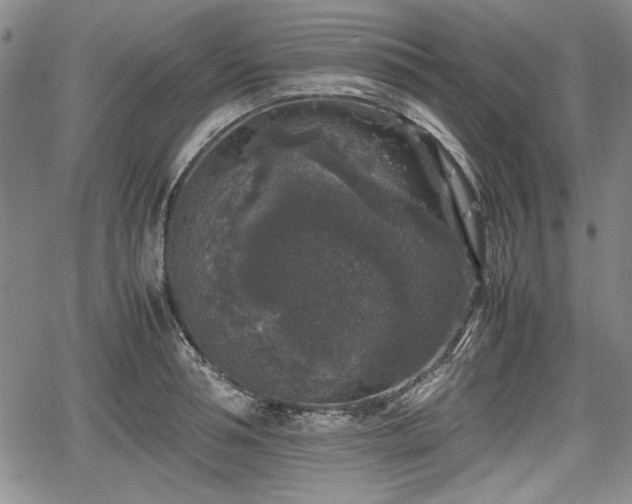 X0000067500994200604101226