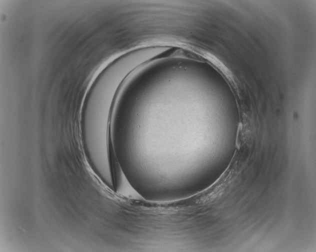 X0000067500996200604101226