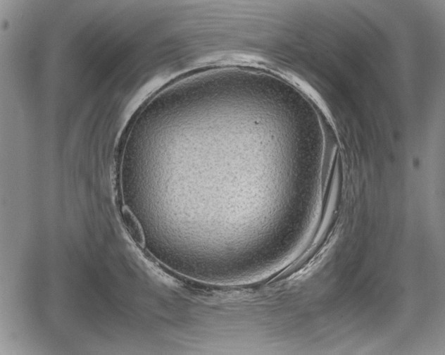 X0000067500997200604101226