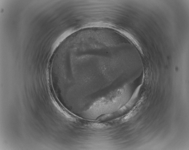 X0000067500998200604101226