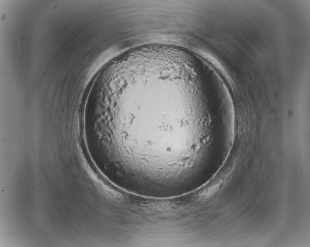 X0000067500999200604101226