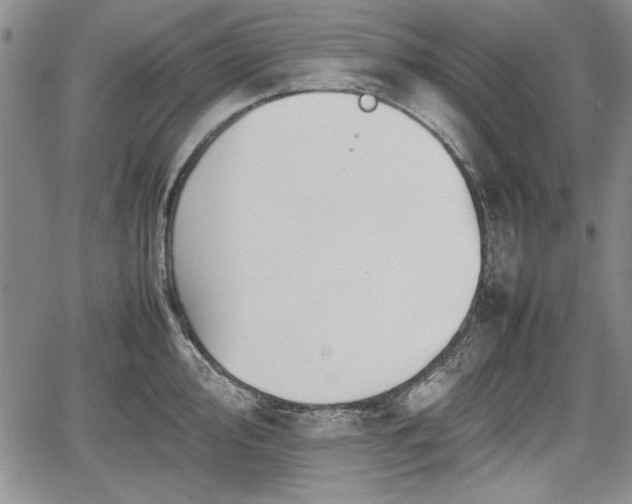 X0000067501000200604101226