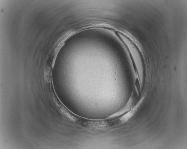 X0000067501001200604101226