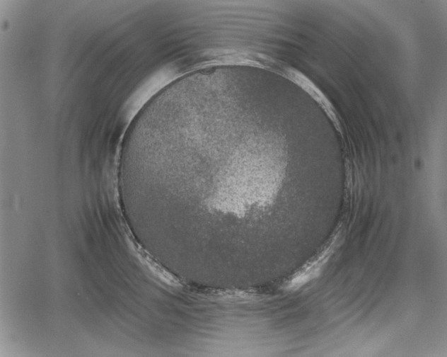 X0000067501002200604101226