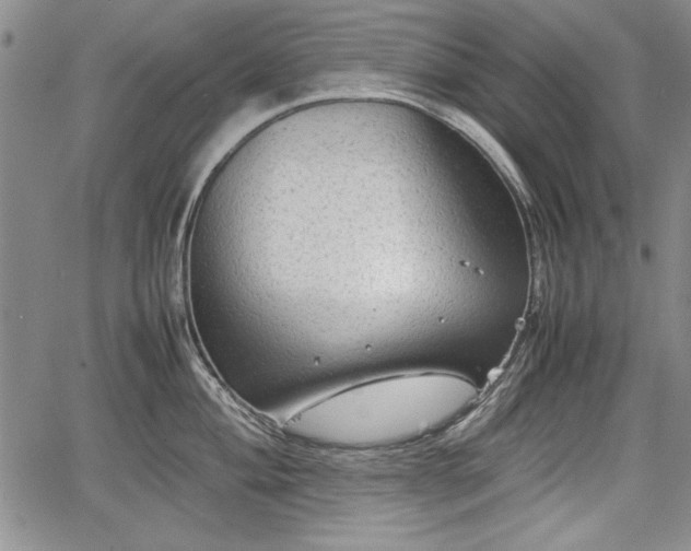 X0000067501004200604101226