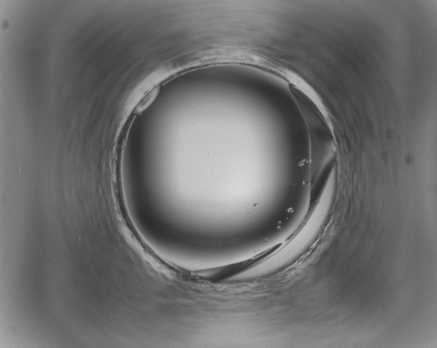 X0000067501005200604101226