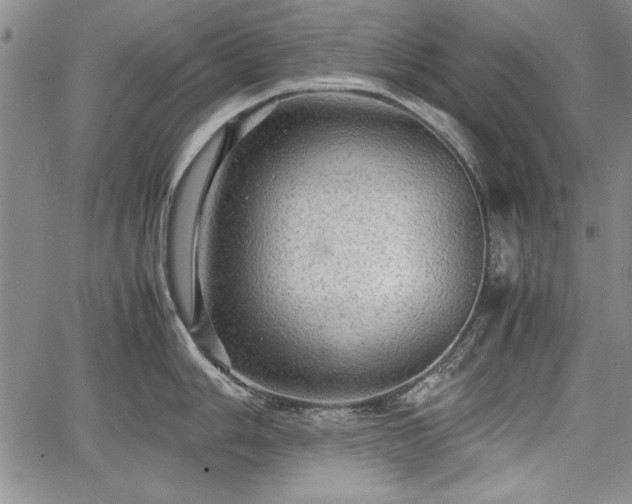 X0000067501006200604101226