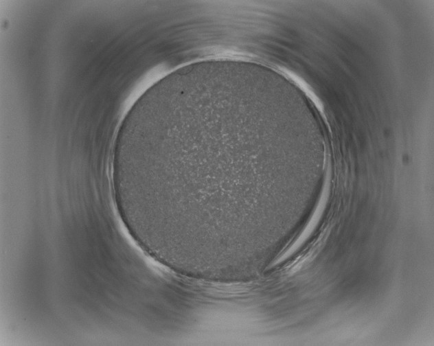 X0000067501007200604101226