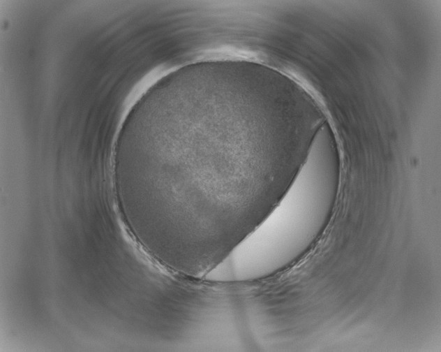 X0000067501008200604101226