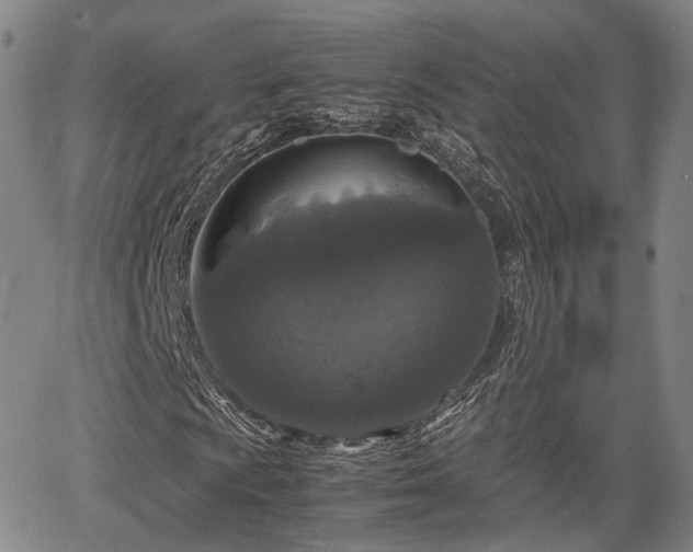 X0000067501009200604101225