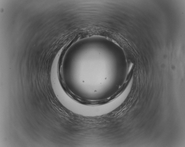 X0000067501010200604101225