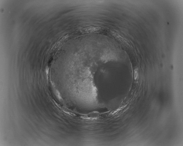 X0000067501011200604101225