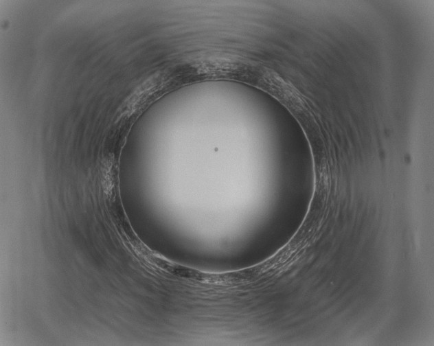 X0000067501012200604101225