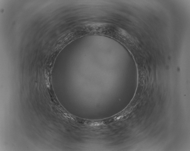 X0000067501013200604101225