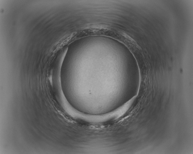 X0000067501014200604101225