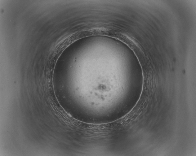 X0000067501015200604101225