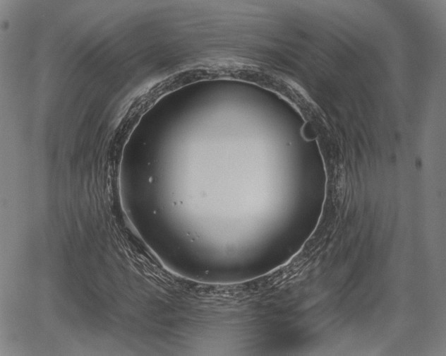 X0000067501016200604101225