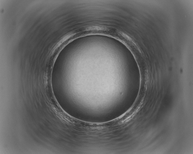 X0000067501017200604101225