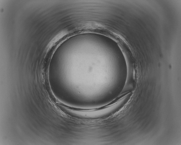 X0000067501018200604101225