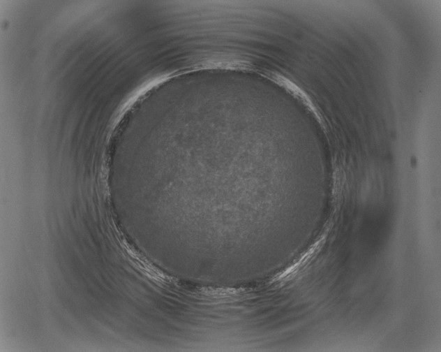 X0000067501019200604101225