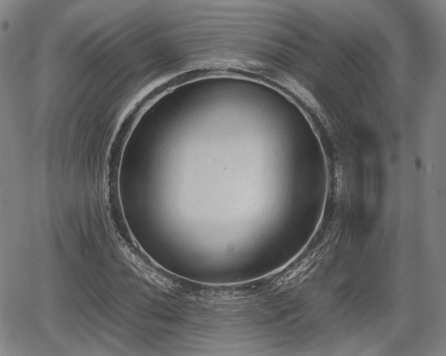 X0000067501020200604101225