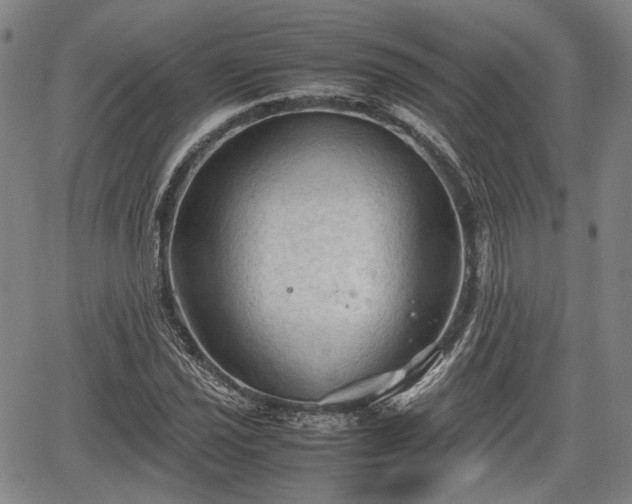 X0000067501021200604101225