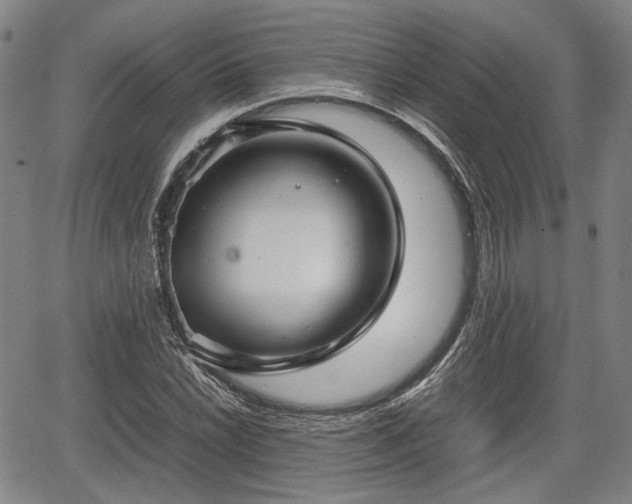 X0000067501022200604101225