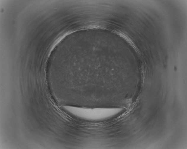 X0000067501023200604101225