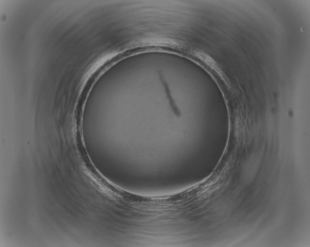 X0000067501024200604101225