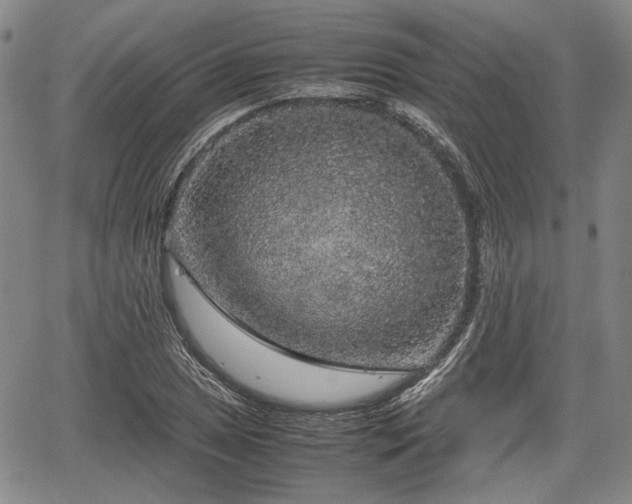 X0000067501025200604101225