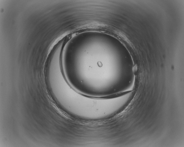 X0000067501026200604101225