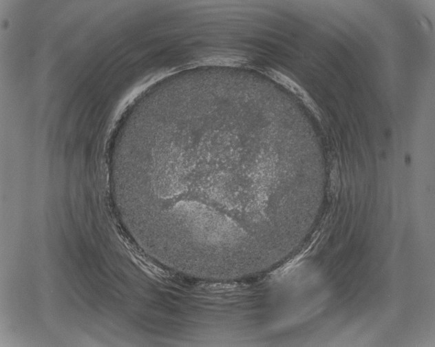 X0000067501027200604101225