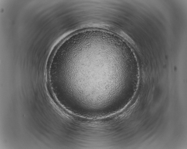 X0000067501028200604101225