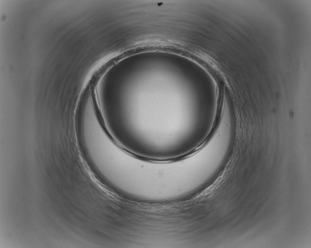 X0000067501030200604101225