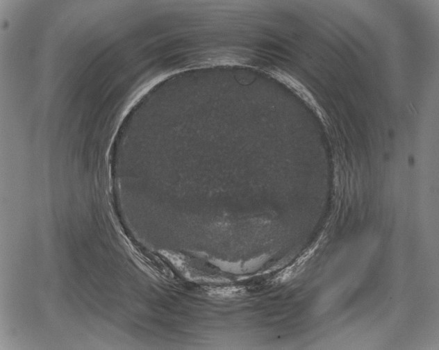 X0000067501031200604101225