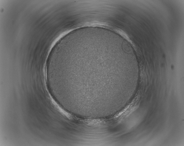 X0000067501032200604101225