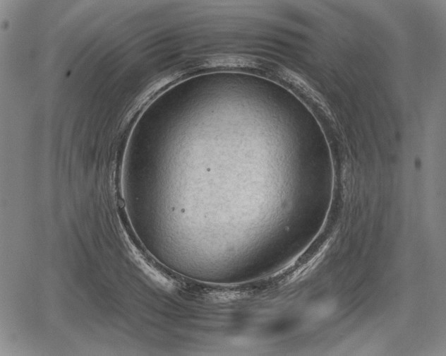 X0000067501033200604101225