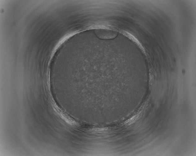 X0000067501035200604101225