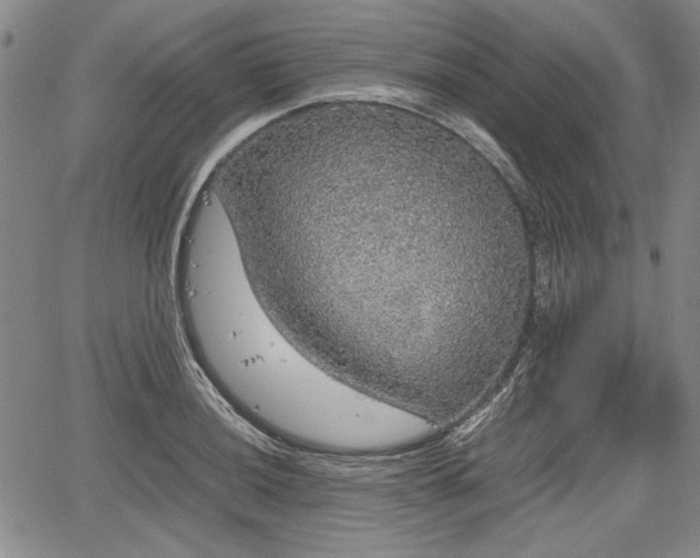 X0000067501036200604101225