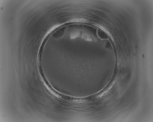 X0000067501037200604101225