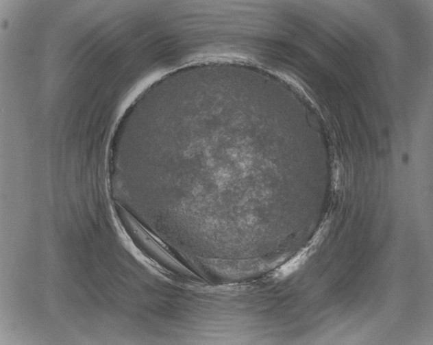 X0000067501038200604101225