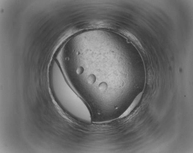 X0000067501039200604101225