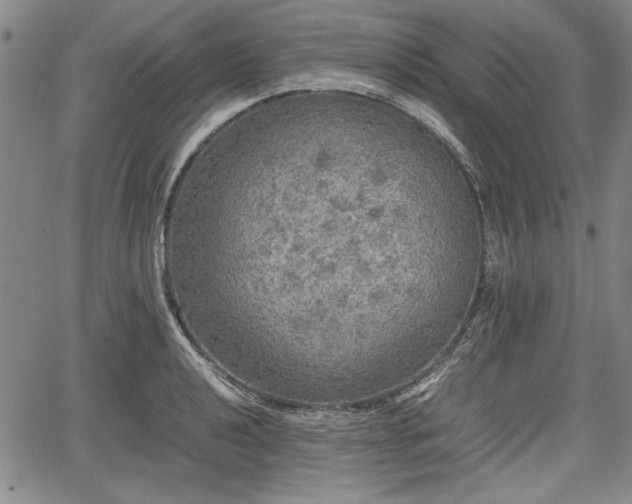 X0000067501040200604101225