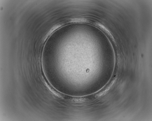 X0000067501041200604101225