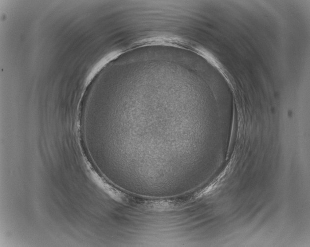 X0000067501042200604101225