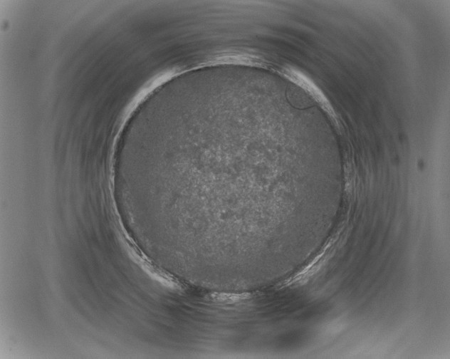 X0000067501043200604101225